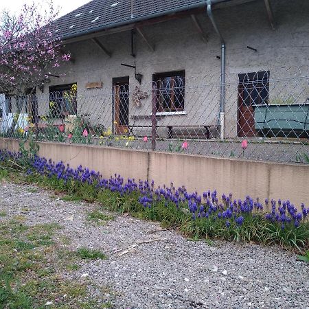 Appartamento chez Domi Syl gite nature Colonne Esterno foto