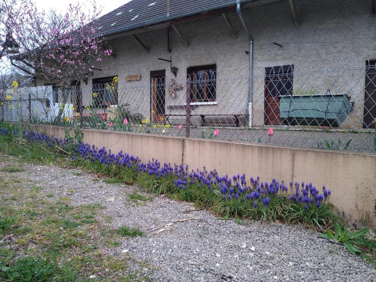 Appartamento chez Domi Syl gite nature Colonne Esterno foto
