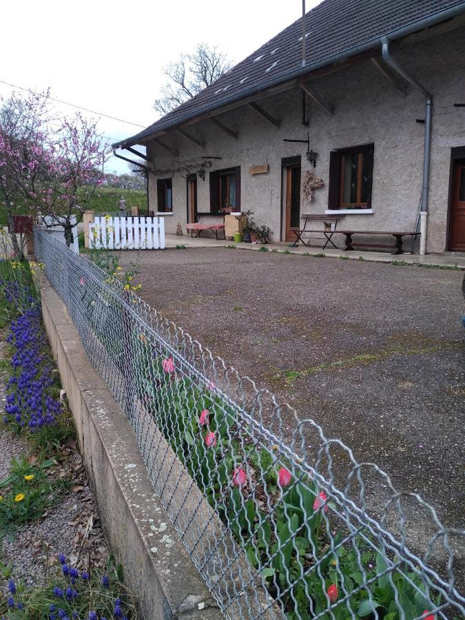 Appartamento chez Domi Syl gite nature Colonne Esterno foto